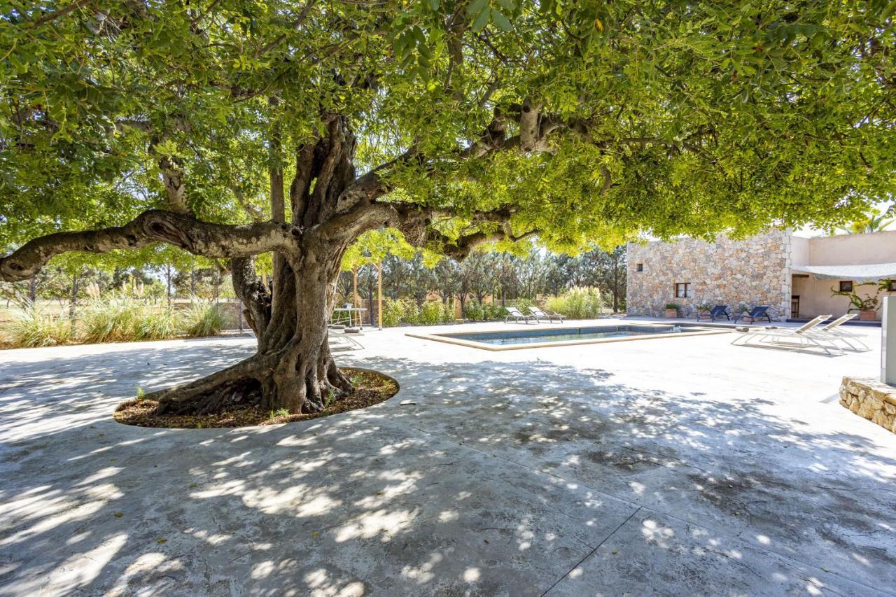 Villa Es Triquet Family Binisalem Exteriér fotografie