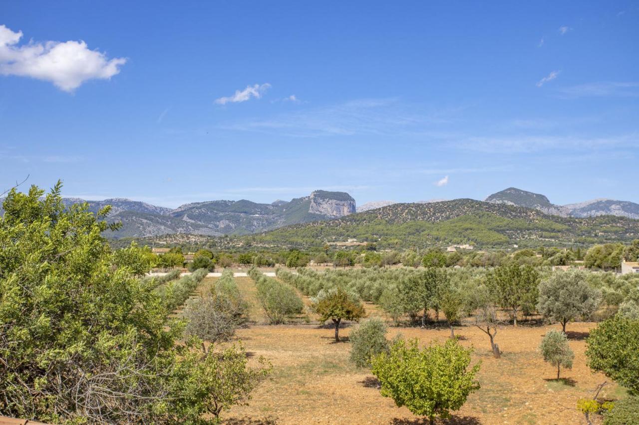 Villa Es Triquet Family Binisalem Exteriér fotografie